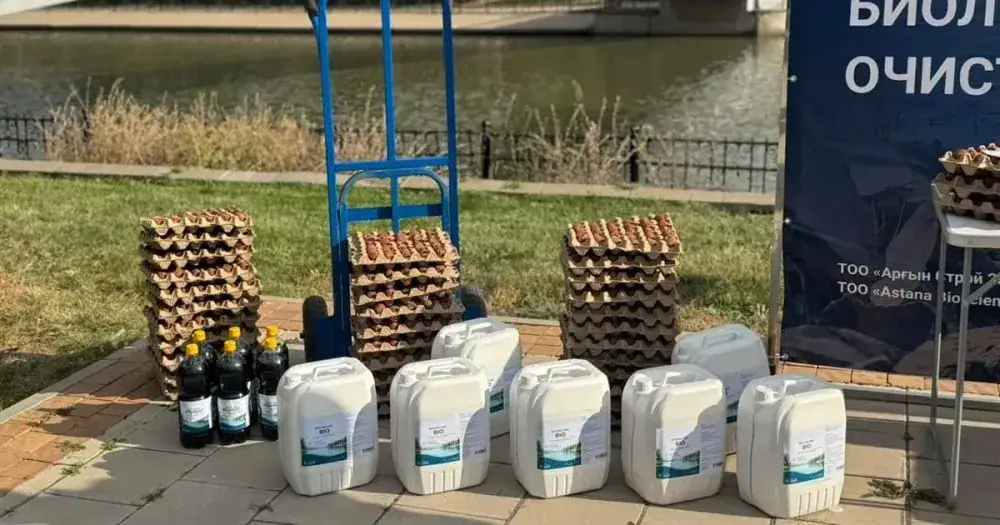 Работы по очистке канала Акбулак в Астане продолжаются