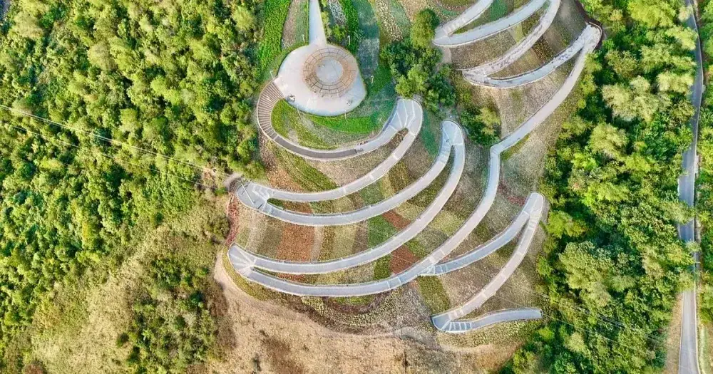 A New 4-Hectare Flower Slope Created on Kok-Tobe in Almaty
