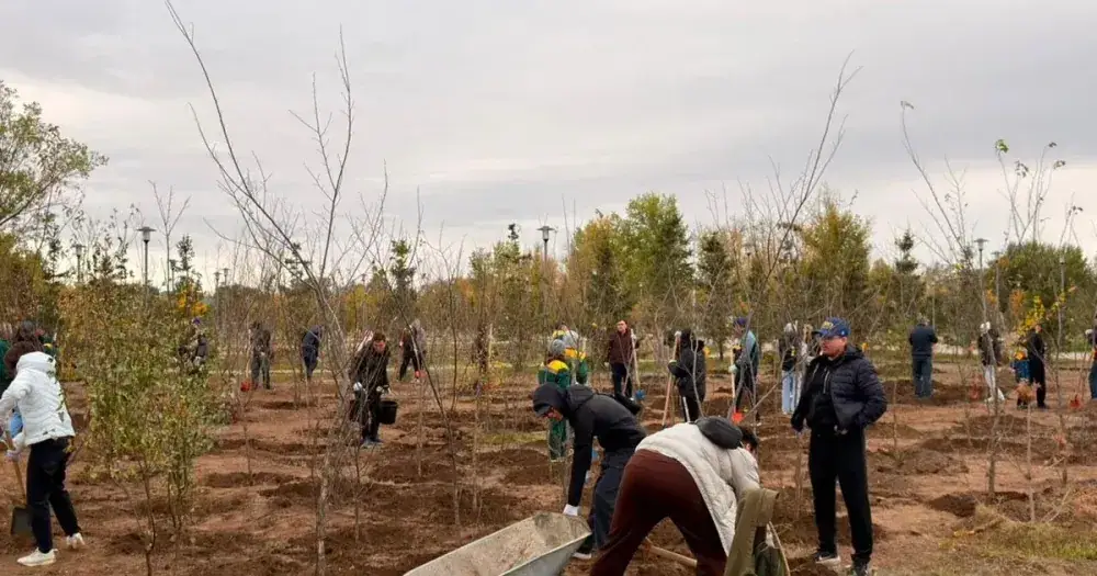 Over 640 Trees Planted in Koktal Park, Astana