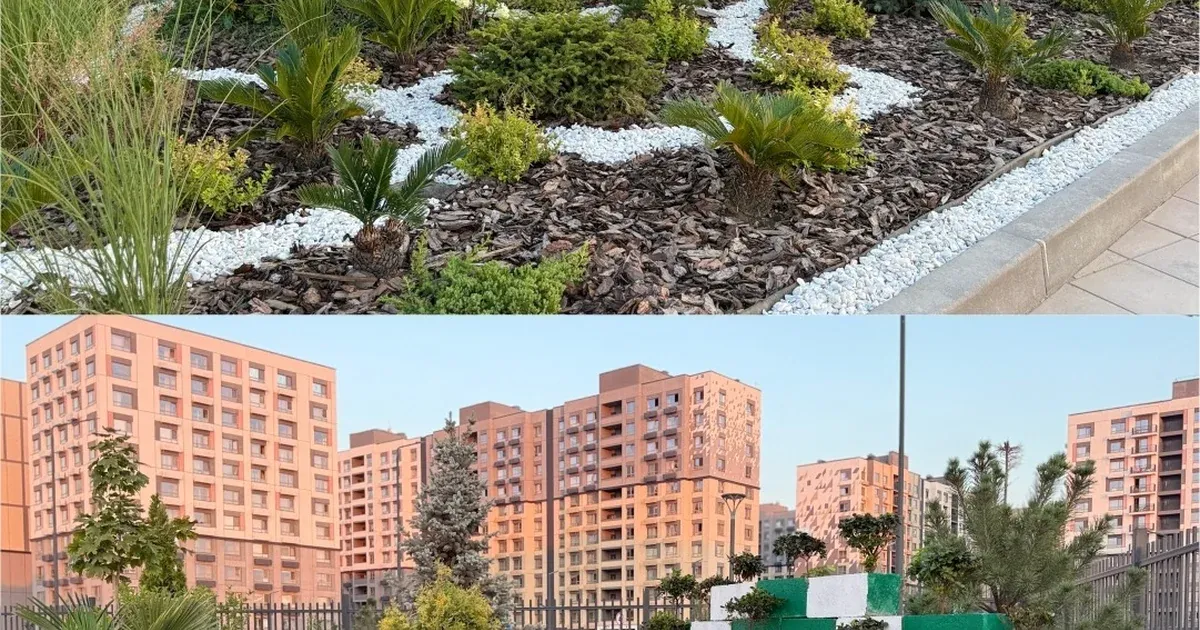 Participants of the 'Best Green School' City Contest Announced in Almaty